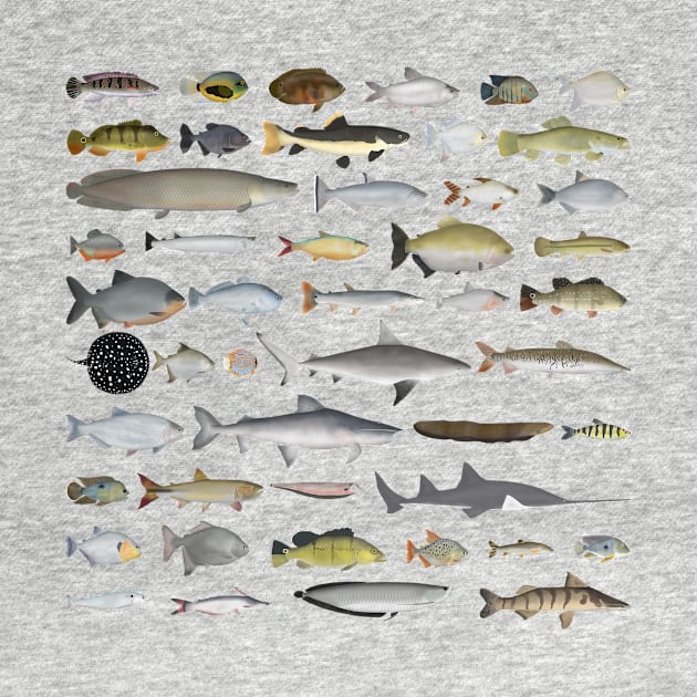 Amazon River Basin Fish Group by FishFolkArt